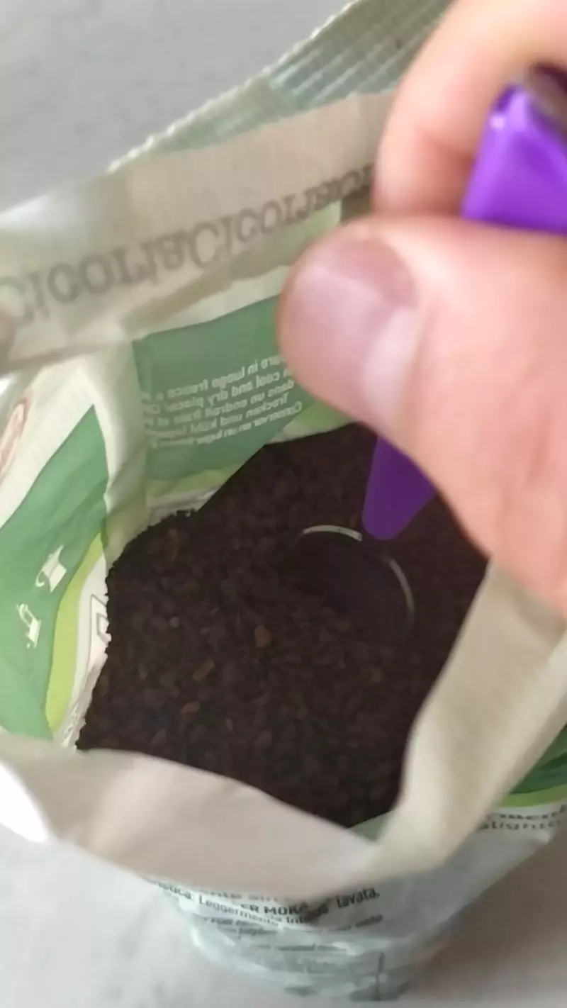 chicory coffee root powder
